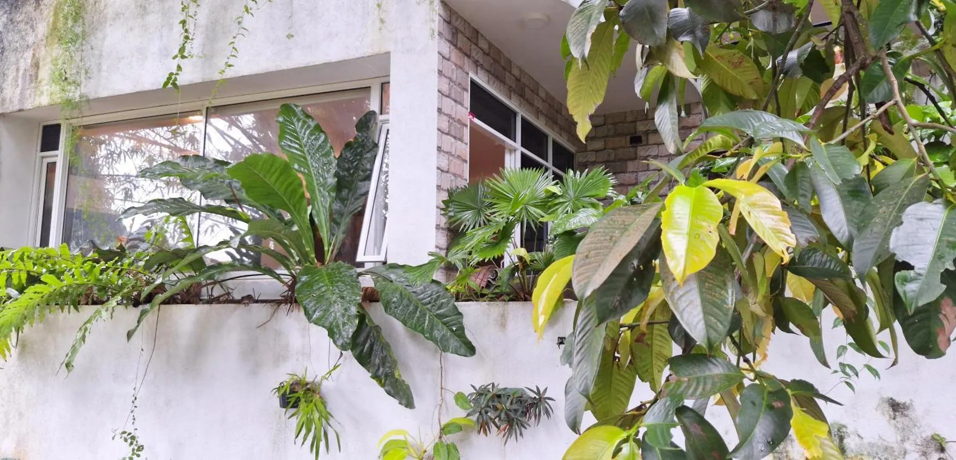 Apartment Malee Home Stay Kandy